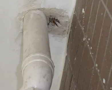 天镇漏水检测哪家好